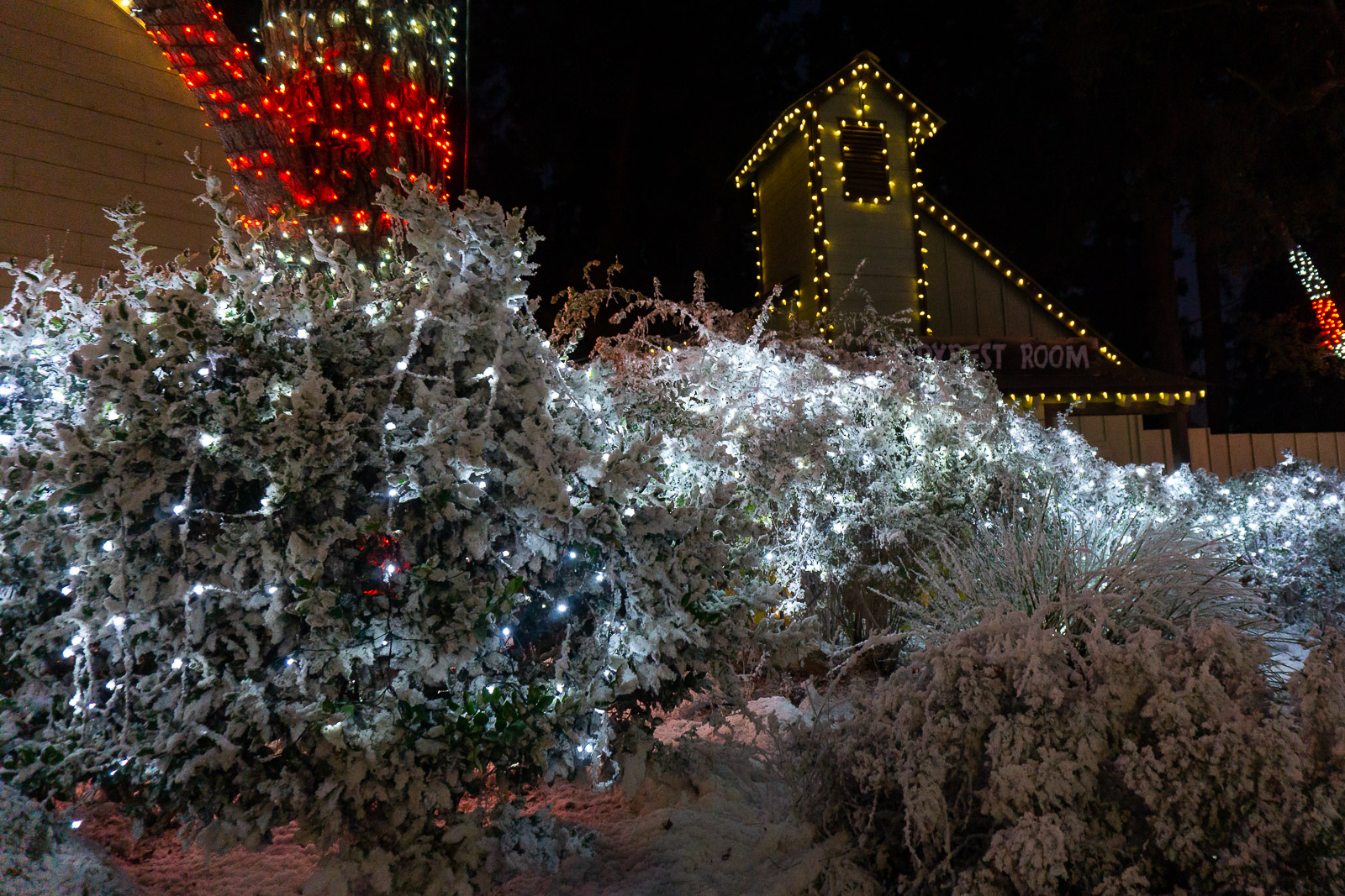 Holiday in the Park decorations