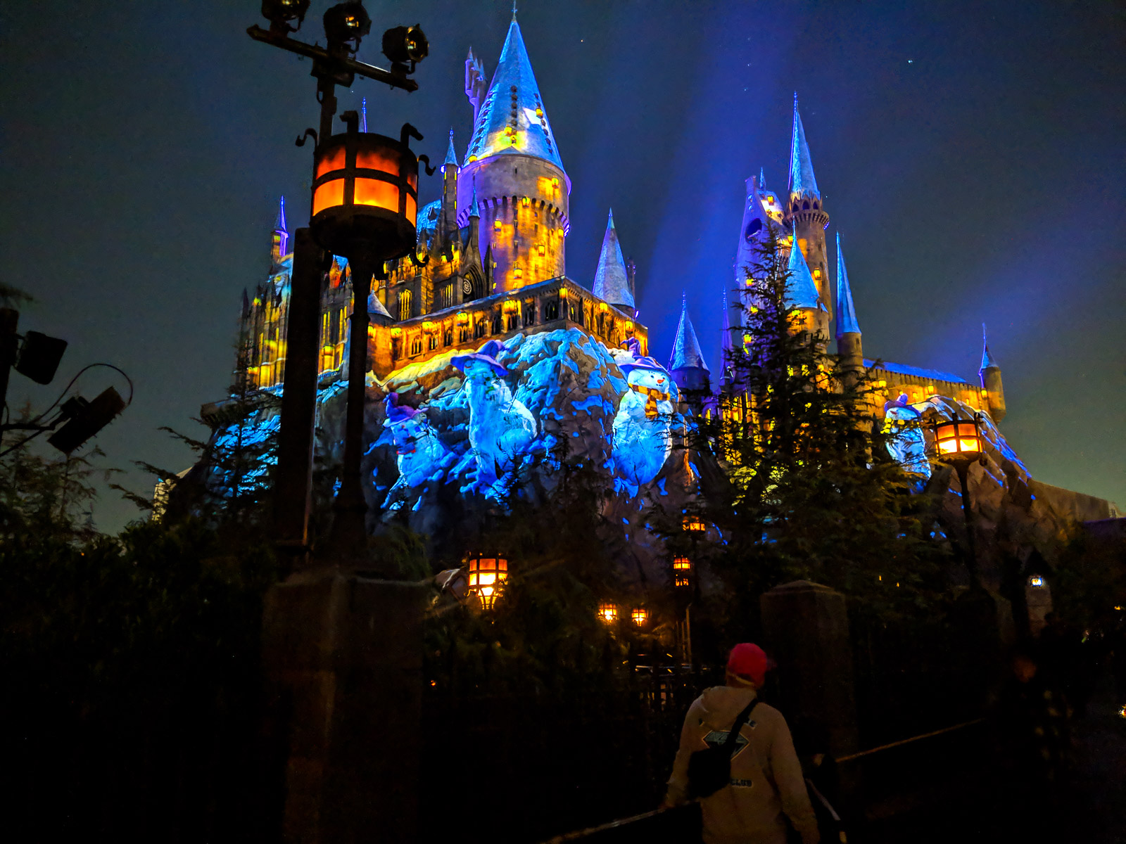 Castle Projections